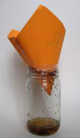 Paper cone fly trap thats homemade