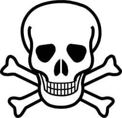 Flea Fogger Warnings Skull image