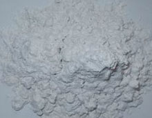 Using Food Grade diatomaceous earth For Killing Fleas