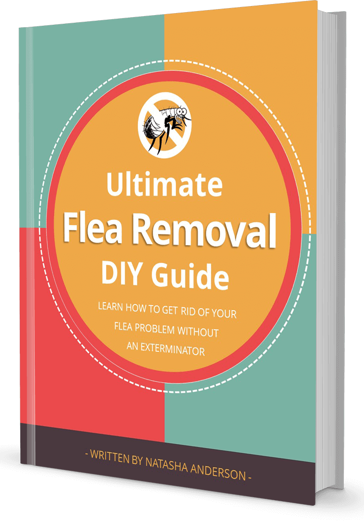 flea-removal-guide