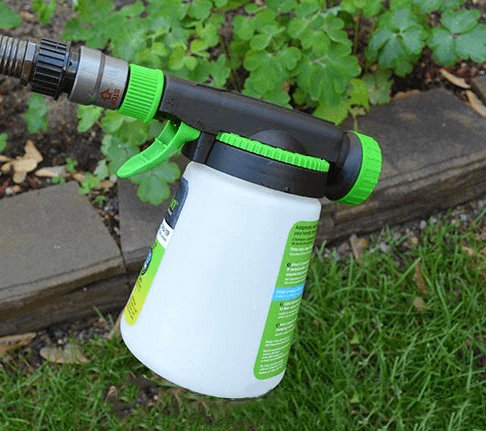 beneficial nematode flea control spray