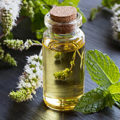 Peppermint Oil For Fleas – Is It Safe For Your Dogs And Cats?