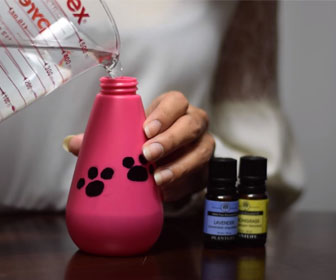 Picture of making a homemade spray for a pet