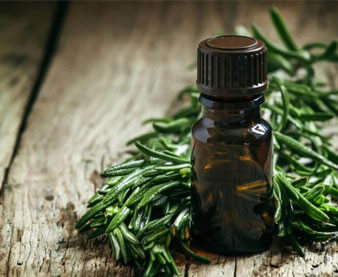 Tea tree oil flea repellent top
