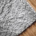 How To Get Rid of Fleas In Your Carpet (Without Breaking The Bank)