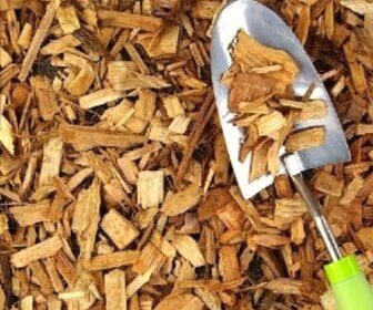 Photo of cedar wood chips that can repel fleas from outside areas